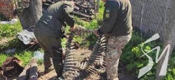 �� ����������� ��� ������ ������ ������� �������, ������������ ���������� �� ��� �� ������� 